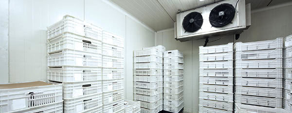 The Importance of Maintaining Your Coolrooms Sydney - Cold-Rite